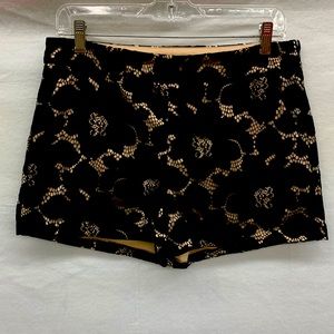 Express Black & Nude Lace Shorts